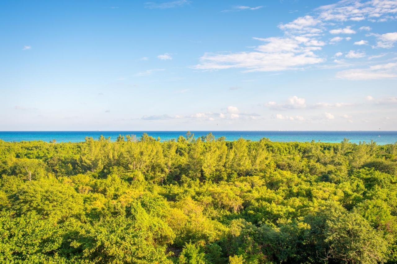 Suites Cielo Y Mar (Adults Only) Плая дел Кармен Екстериор снимка